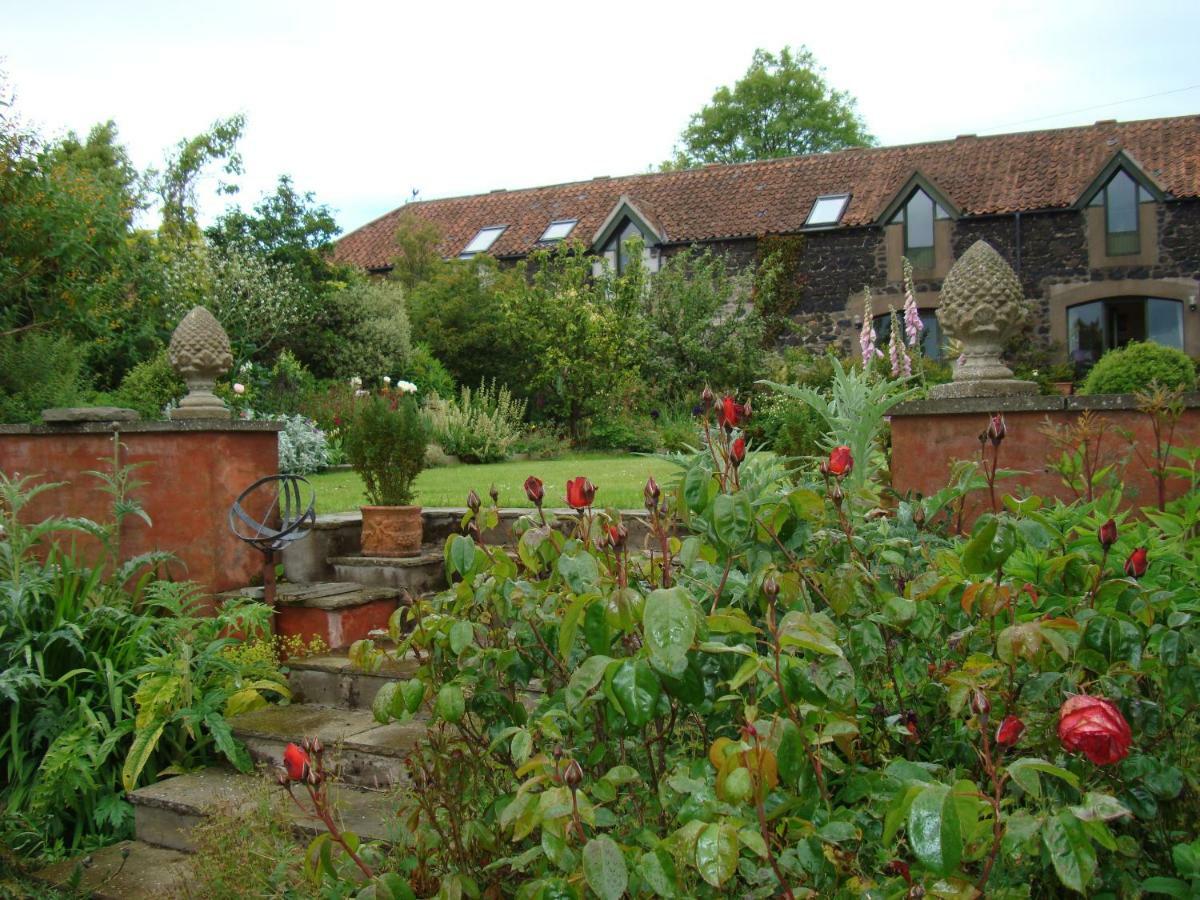 Cutty Sark Cottage Kirkton of Largo Ngoại thất bức ảnh